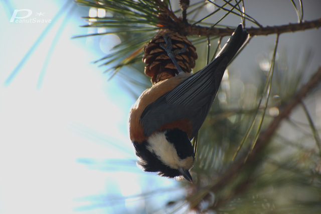 ���}�K��